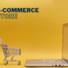 I Will Provide Your Ultimate Ecommerce Experience